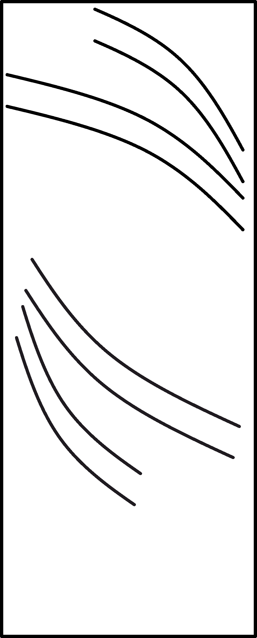 Чертёж Дери шириной 800 мм.